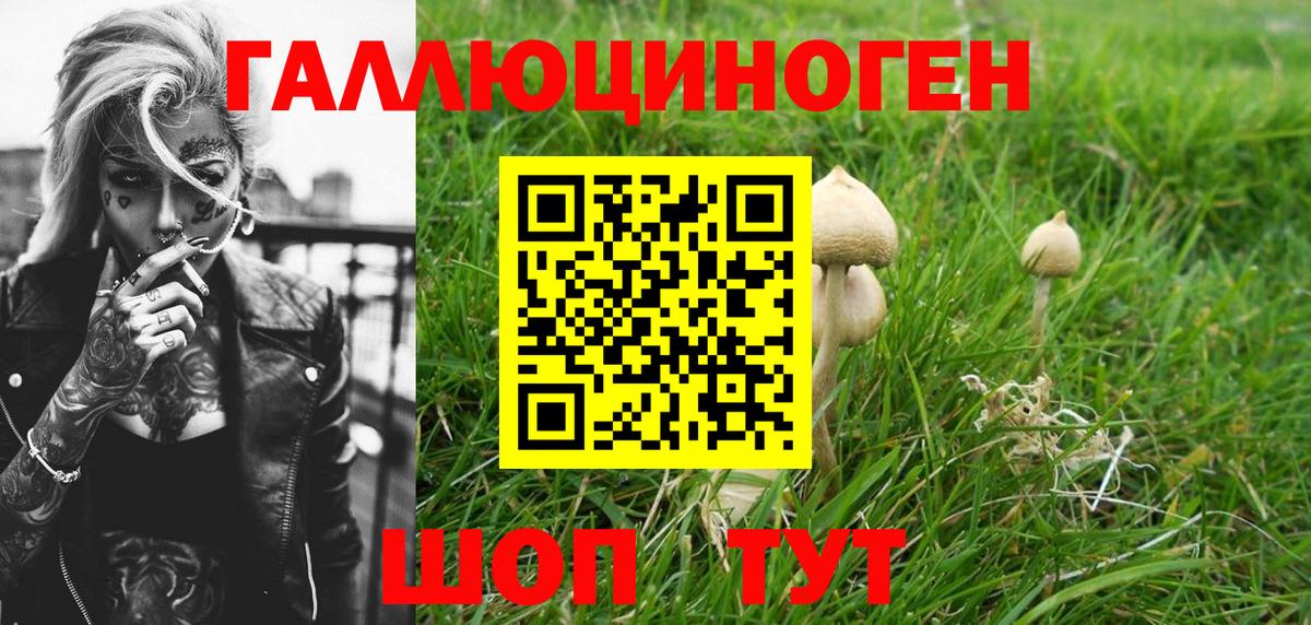 Псилоцибиновые грибы Psilocybe  Галлюциногенные грибы Psilocybine cubensis  Владикавказ  Вход с VPN 